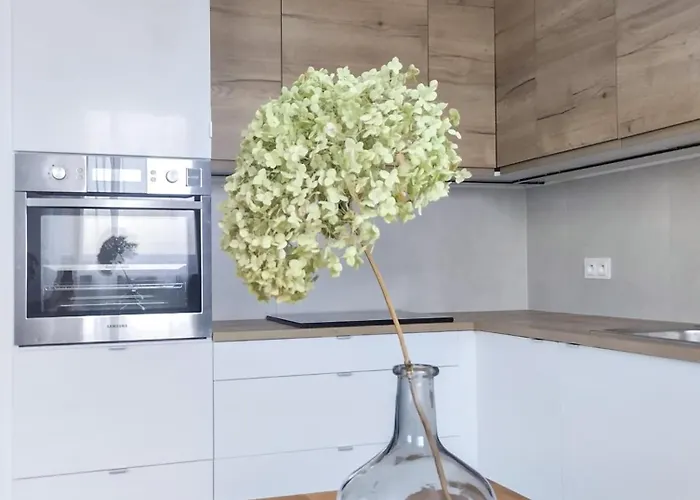 Tymek Διαμέρισμα *